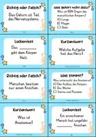 Vorschau - Quiz - Anatomie Mensch – 24 Quizkarten | Quiz | Biologie & Körperbau - Seite 3