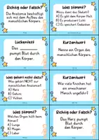 Vorschau - Quiz - Anatomie Mensch – 24 Quizkarten | Quiz | Biologie & Körperbau - Seite 1
