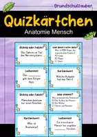 Vorschau - Quiz - Anatomie Mensch – 24 Quizkarten | Quiz | Biologie & Körperbau - Deckblatt