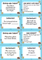 Vorschau - Quiz - Das Auge – 24 Quizkarten | Quiz | Biologie, Sinne & Menschlicher Körper - Seite 3