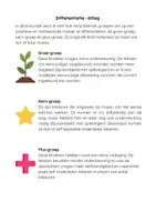 Voorbeeld - Begrijpend lezen MET differentiatie: Zomerverhalen - niveau eerste leerjaar (groep 3) - Pagina 2