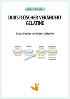 Vorschau - Arbeitsblätter - Durstlöscher verändert Gelatine - pH-Wert - Chemie - Protokoll + Arbeitsblätter - Deckblatt