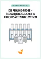 Vorschau - Arbeitsblätter - Die Fehling-Probe – Reduzierende Zucker in Fruchtsäften nachweisen - Chemie - Protokoll + Arbeitsblätter - Deckblatt