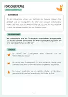 Vorschau - Arbeitsblätter - Wie viel Zucker steckt in meinem Getränk? - Chemie - Protokoll + Arbeitsblätter - Seite 3