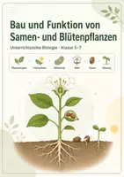 Vorschau - Arbeitsblätter - Bau und Funktion von Samen- und Blütenpflanzen - Seite 1