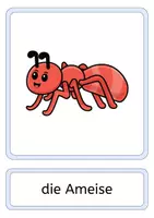 Vorschau - Präsentationen/Tafelbilder - Flashcards FRÜHLING - Seite 1