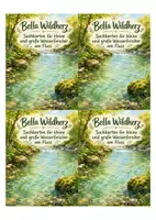 Vorschau - Arbeitsblätter - Bella Wildherz – Wasserqualität am Fluss - Seite 2