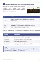 Vorschau - Arbeitsblätter - Aufbau einer Blütenpflanze - Arbeitsheft Klasse 5 - Seite 3
