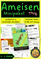 Vorschau - Arbeitsblätter - Ameisen - Deckblatt