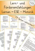 Vorschau - Fördermaterial/Inklusion - XL-Paket: Lern- und Förderempfehlungen, Kl. 1-4, Editierbar: Mathe, Deutsch, ESE, Lernen, Motorik, Zeugnis - Seite 1