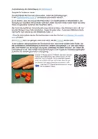 Vorschau - Arbeitsblätter - Zahlzerlegung bis 8, "Ich muss nicht mehr abzählen!" - Seite 1