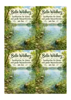 Vorschau - Arbeitsblätter - Bella Wildherz – Wasserqualität am See - Seite 2