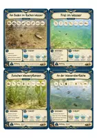 Vorschau - Arbeitsblätter - Bella Wildherz – Wasserqualität am See - Seite 3
