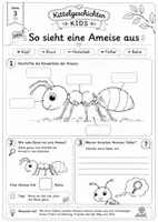 Vorschau - Stundenentwürfe - Ameisen Grundschule Klasse 1-4 | Sachkundearbeitsheft - Seite 3