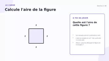 Aperçu - Préparation de séquence / Séquence complète - Calculer l'aire — 80 exercices CM1-CM2 - Page 3
