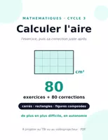 Aperçu - Préparation de séquence / Séquence complète - Calculer l'aire — 80 exercices CM1-CM2 - Page de couverture