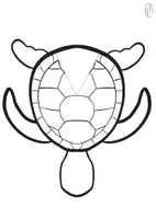 Aperçu - Matériel pour travaux manuels / dessin - Les tortues ! - Page 1