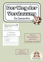 Vorschau - Stundenentwürfe - Verdauung UE 3: Speiseröhre (Experimente, Tafelmaterial und Lückentext) - Deckblatt