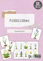 Vorschau - Arbeitsblätter - Frühblüher - Deckblatt