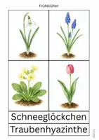 Vorschau - Arbeitsblätter - Frühblüher - Seite 1