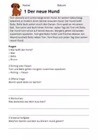 Vorschau - Stundenentwürfe - Leseverständnis Haustiere – Klasse 2 | 10 Lesetexte mit Fragen & Lösungen - Seite 3