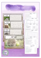 Vorschau - Unterrichtsreihen - Der Igel Kartei + Arbeitsblätter (2.-4. Klasse) inkl. Lösungen - Deckblatt