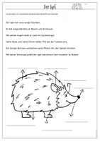 Vorschau - Unterrichtsreihen - Der Igel Kartei + Arbeitsblätter (2.-4. Klasse) inkl. Lösungen - Seite 2