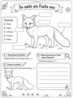 Vorschau - Stundenentwürfe - Der Fuchs-Sachunterricht Grundschule Klasse 1-4 - Seite 2