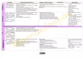 Vista previa - Para docentes: organización, planificación y formación - Esquema Trastornos Neurodesarrollo (Especial PT y Oposiciones) - página 3