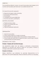 Vista previa - Juegos / Gamificación - Scape room de la fotosíntesis - página 2