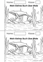 Vorschau - Arbeitsblätter - Wale | Buckelwal - Seite 2