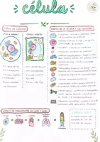 Vista previa - Hojas de trabajo - 🧬🔬 Esquema de la célula - página 1