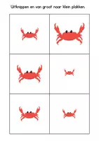 Voorbeeld - Uitknippen en van groot naar klein plakken (Thema zomer) - Pagina 1