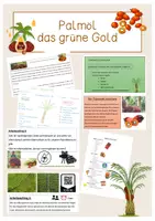 Vorschau - Stundenentwürfe - Palmöl - das grüne Gold - Deckblatt