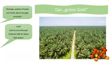 Vorschau - Stundenentwürfe - Palmöl - das grüne Gold - Seite 2
