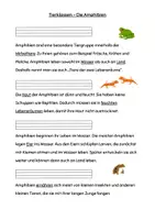 Vorschau - Arbeitsblätter - Sachtext Verstehen - Leseverständnis - Tierklasse Amphibien differenziert - Seite 1