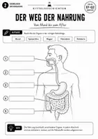 Vorschau - Stundenentwürfe - Verdauungssystem & Stoffwechsel | Oberstufe Biologie EF-Q2 | KOSTENLOSE Unterrichtsprobe - Seite 2