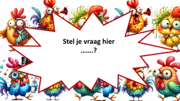 Voorbeeld - Kippen Katapult- formatieve en activerende werkvorm - Pagina 3