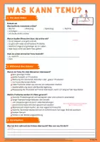 Vorschau - Arbeitsblätter - Was kann Temu - Seite 2