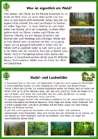 Vorschau - Unterrichtsreihen - Der Wald - Unterrichtsreihe / Lerntheke - Seite 1
