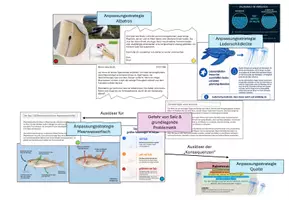 Vorschau - Stundenentwürfe - Wasser: Osmoregulation & Anpassung - Mystery | Naturwissenschaften Klasse 5/6 - Seite 3