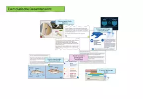Vorschau - Stundenentwürfe - Wasser: Osmoregulation & Anpassung - Mystery | Naturwissenschaften Klasse 5/6 - Seite 1