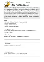 Vorschau - Stundenentwürfe - Leseverständnis Insekten – Klasse 2 | 10 Lesetexte mit Fragen & Lösungen - Seite 3