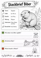 Vorschau - Stundenentwürfe - Tiere Sachkunde Klasse 1-4 | Tier-Bundle Grundschule | Arbeitshefte mit Lösungen - Seite 3