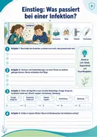 Vorschau - Arbeitsblätter - Das Immunsystem des Menschen – Erreger, Abwehrreaktionen und Immunisierung - Seite 3