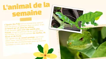 Aperçu - Préparation de séance / Séance complète - Diaporama de présentation des Iles Fidji, Océanie - Page 3