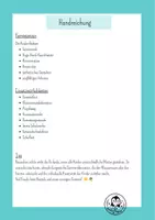 Vorschau - Mal- und Bastelvorlagen - Sommer-Girlande zum Ausmalen | 25 Bastelmotive für die Grundschule | Kunst Basteln Klasse 1-4 ohne Vorbereitung - Seite 3