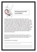 Vorschau - Arbeitsblätter - Schwangerschaft und Geburt - Seite 1