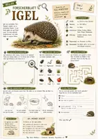 Vorschau - Arbeitsblätter - Igel – kostenloses Materialpaket für Sachunterricht & Naturbildung | Bella Wildherz - Seite 2
