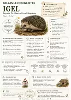Vorschau - Arbeitsblätter - Igel – kostenloses Materialpaket für Sachunterricht & Naturbildung | Bella Wildherz - Seite 3